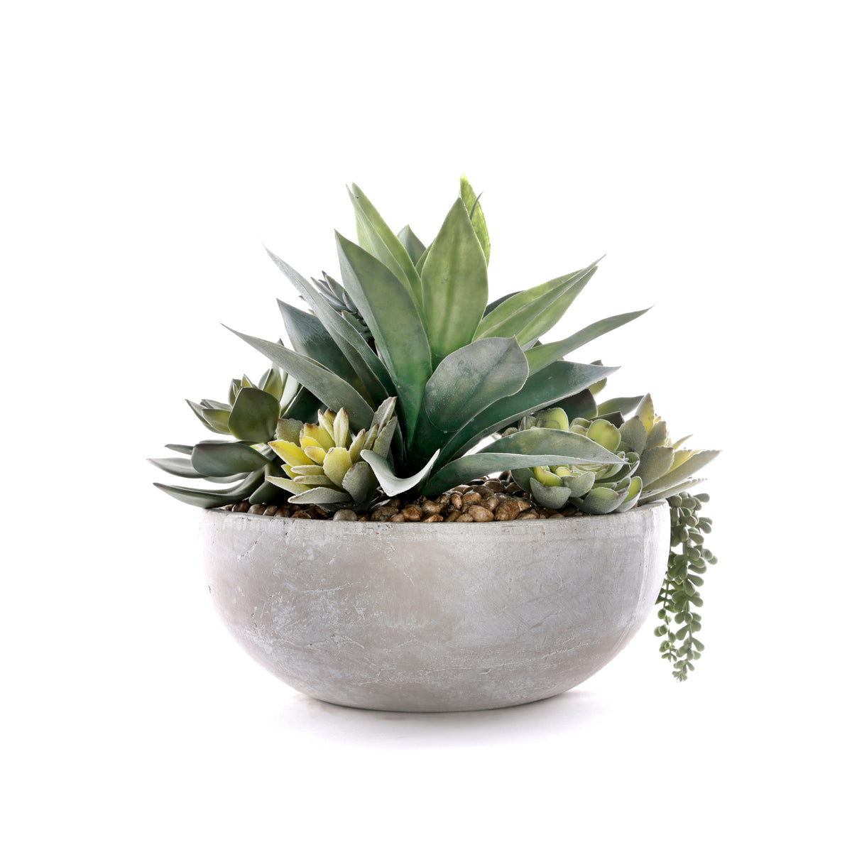Succulents in Round Stone Wash Bowl #S-92