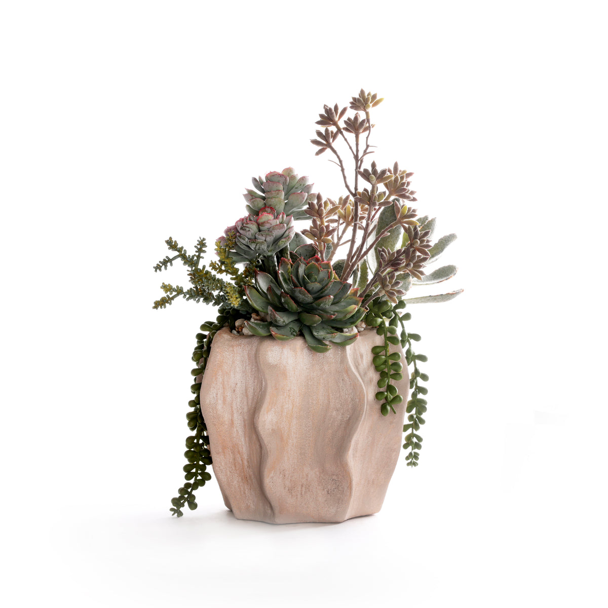 Succulents in Sculptured Planter #S-93
