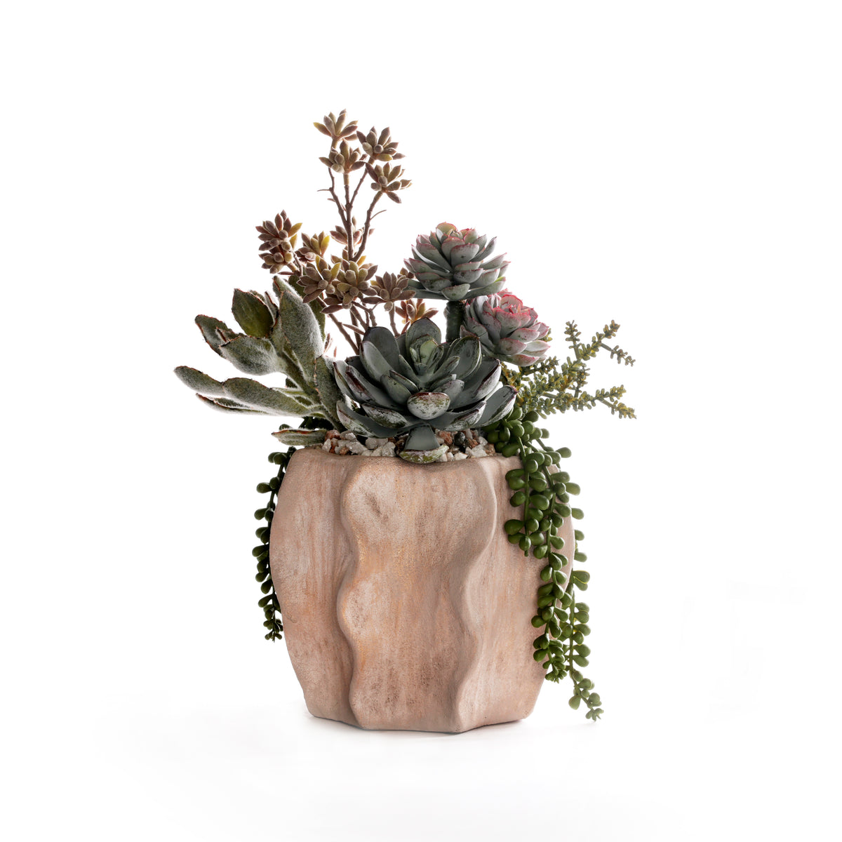 Succulents in Sculptured Planter #S-93