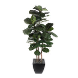 7' Brazilian Fiddle Leaf Tree with Real Wood Trunks in Black Pot #T-100B
