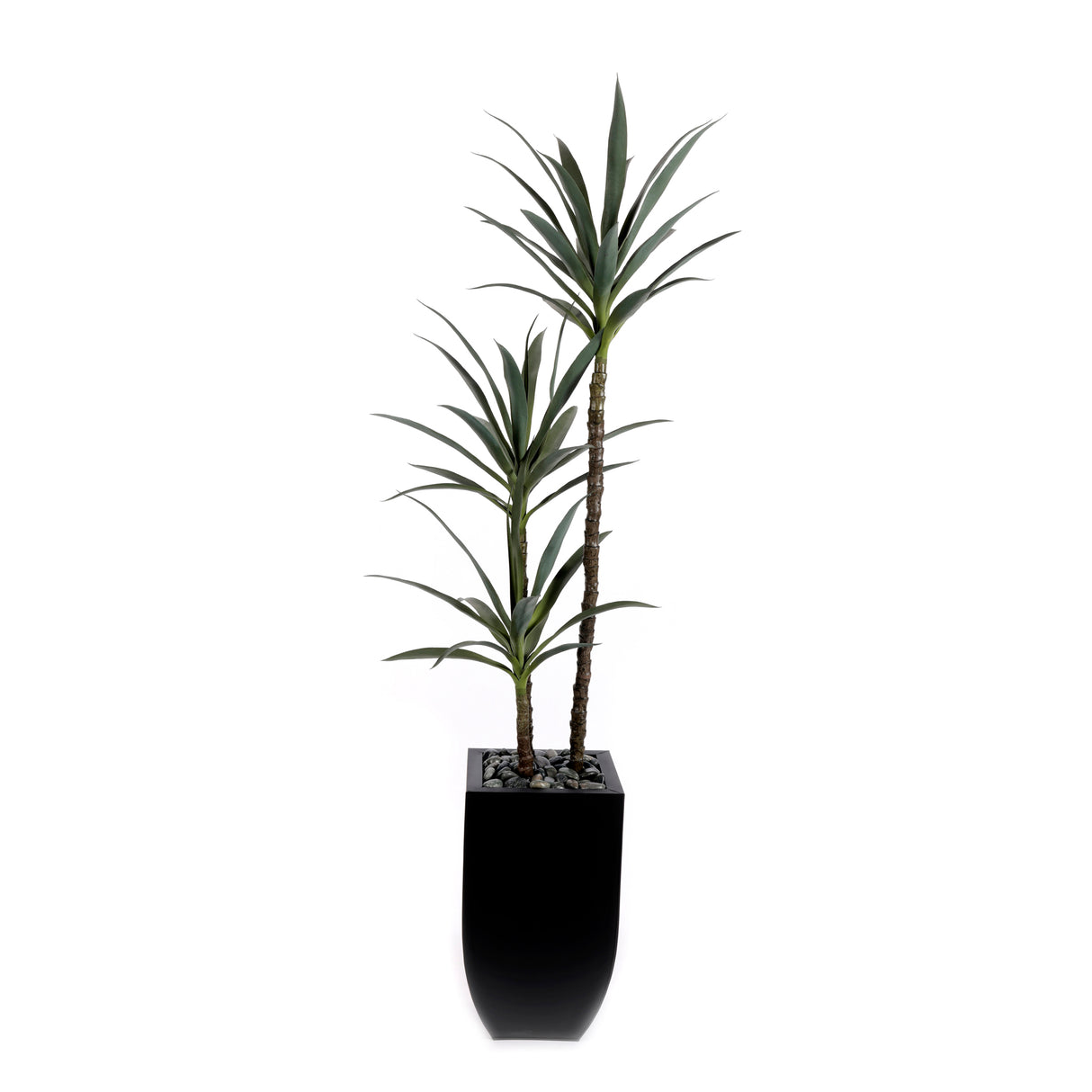 71"H  Artifical Yucca Tree with Pebbles in Black Tin Planter #T-110