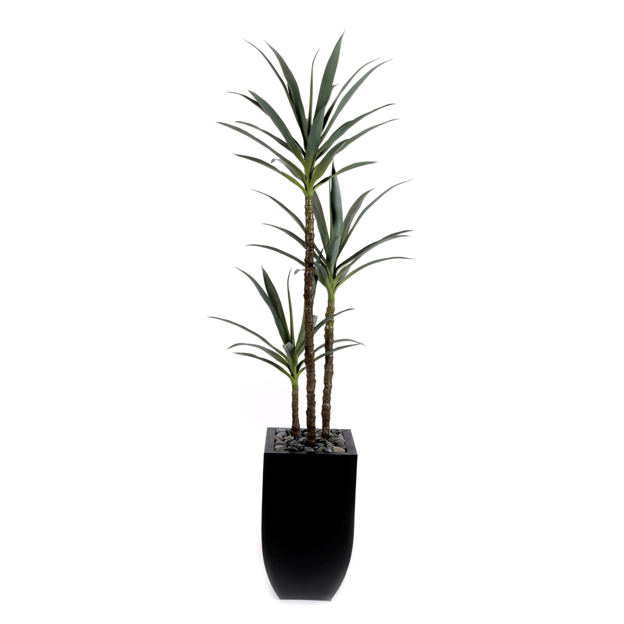 71"H  Artifical Yucca Tree with Pebbles in Black Tin Planter #T-110