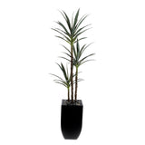 71"H  Artifical Yucca Tree with Pebbles in Black Tin Planter #T-110