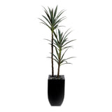 71"H  Artifical Yucca Tree with Pebbles in Black Tin Planter #T-110