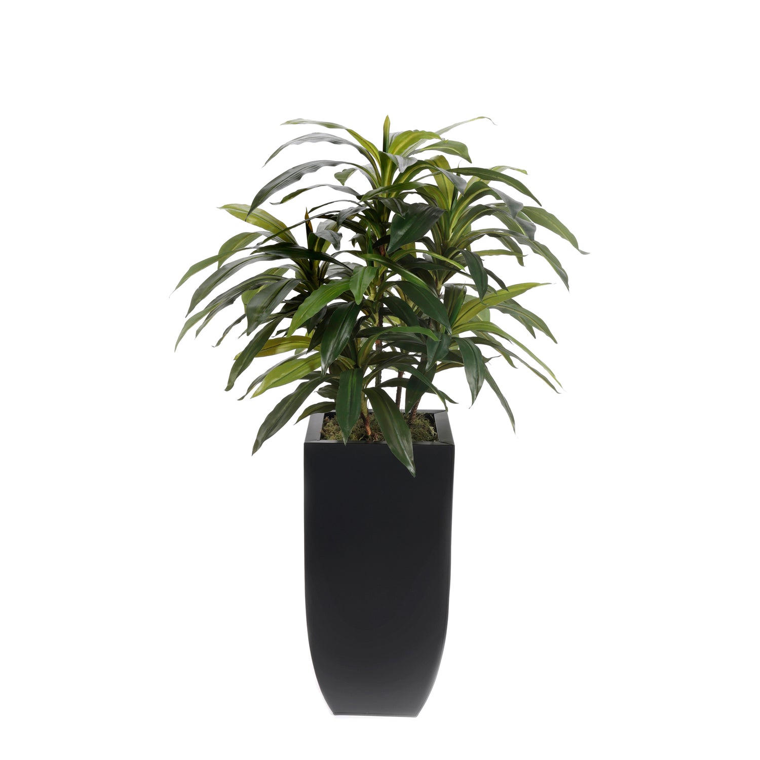 dracaena black beauty 4'H Artifical Dracaena Plant In Black Tin Planter #T-113