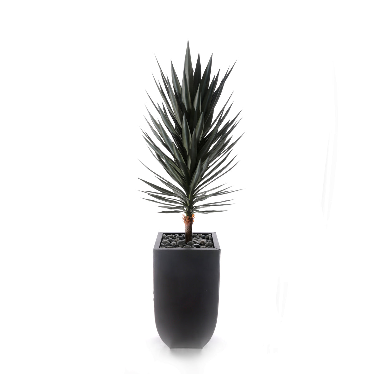 70"H Yucca Tree w/Blk Rocks in Black Metal Planter #T-117