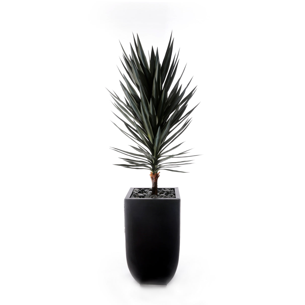 70"H Yucca Tree w/Blk Rocks in Black Metal Planter #T-117