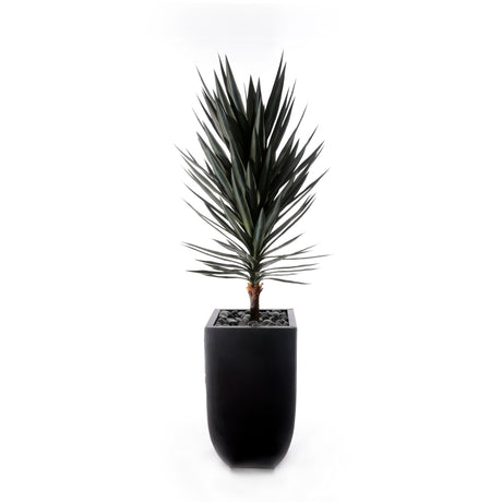 70"H Yucca Tree w/Blk Rocks in Black Metal Planter #T-117