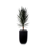 70"H Yucca Tree w/Blk Rocks in Black Metal Planter #T-117