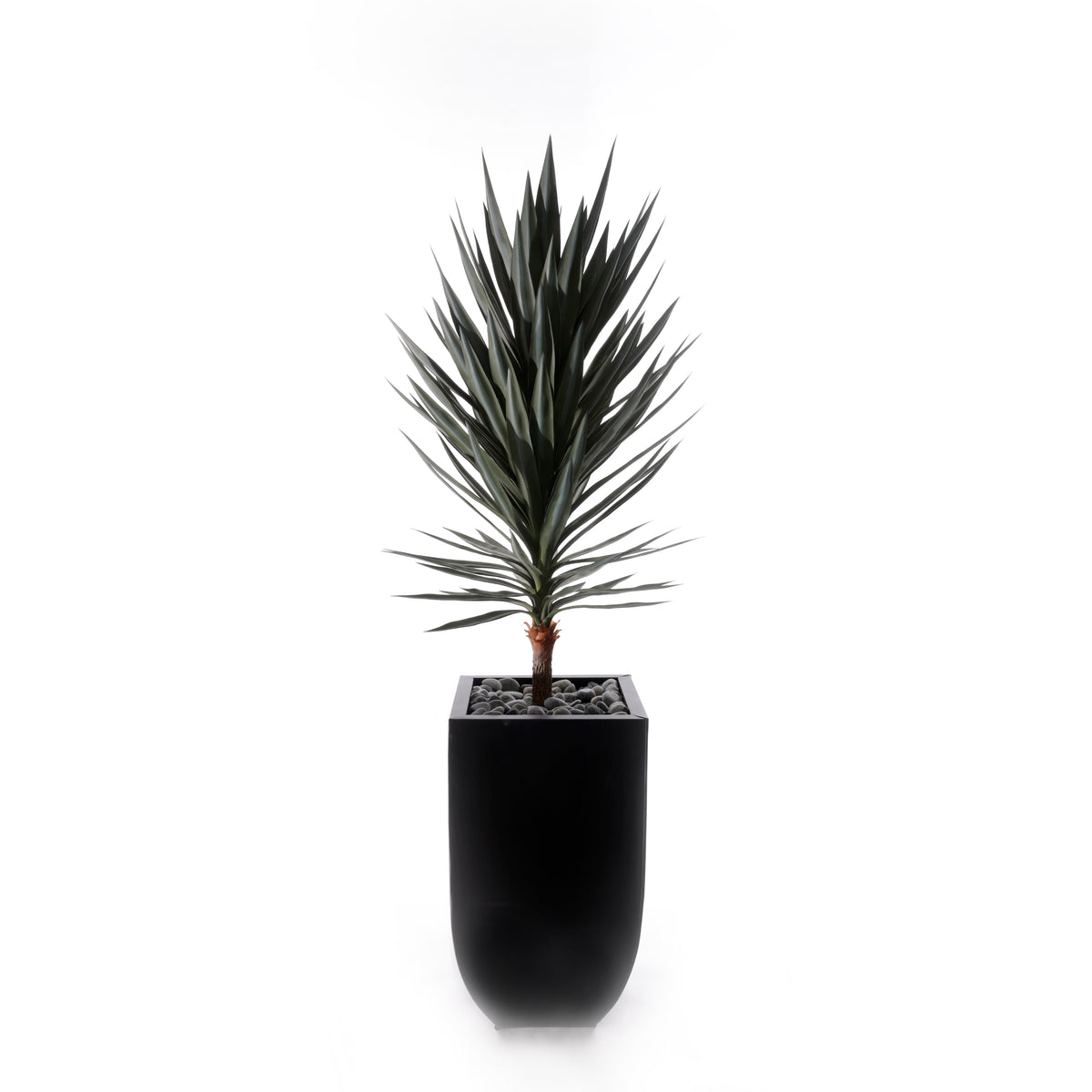 70"H Yucca Tree w/Blk Rocks in Black Metal Planter #T-117