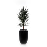 70"H Yucca Tree w/Blk Rocks in Black Metal Planter #T-117