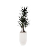 78"H Yucca Plant w/White Rocks in White Metal Planter #T-118