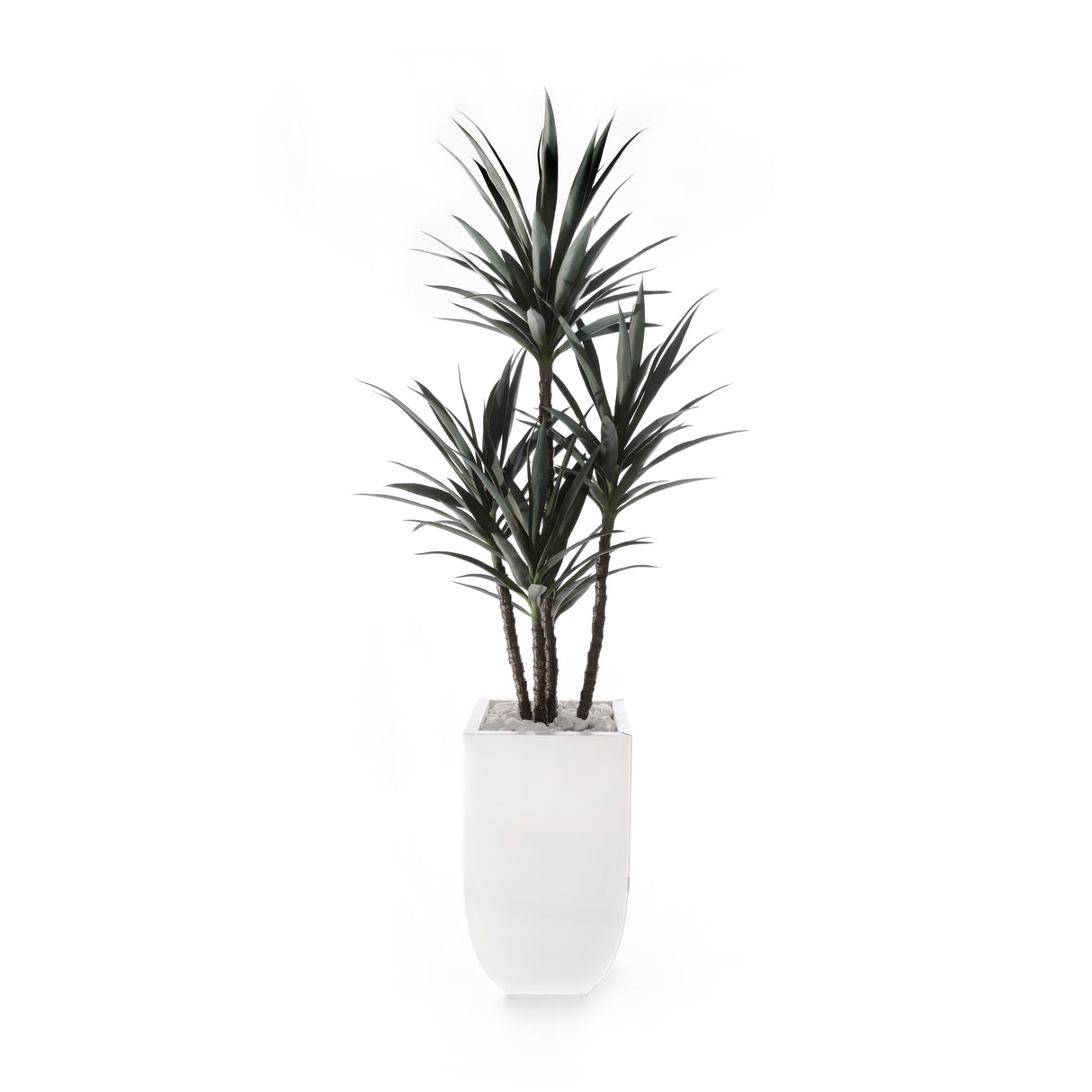 78"H Yucca Plant w/White Rocks in White Metal Planter #T-118