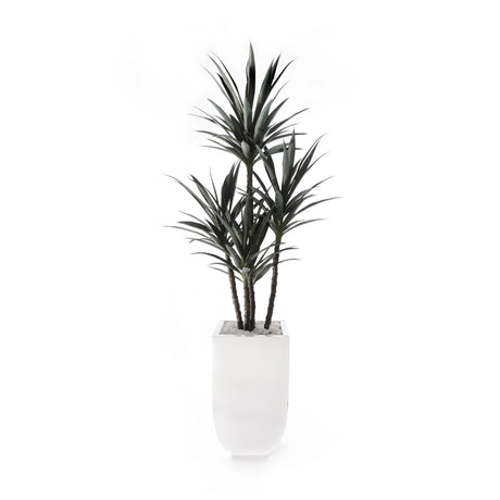 78"H Yucca Plant w/White Rocks in White Metal Planter #T-118