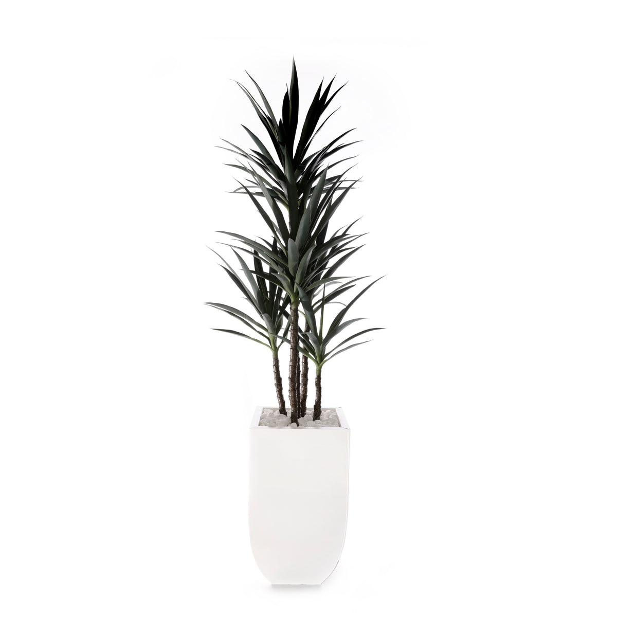 78"H Yucca Plant w/White Rocks in White Metal Planter #T-118