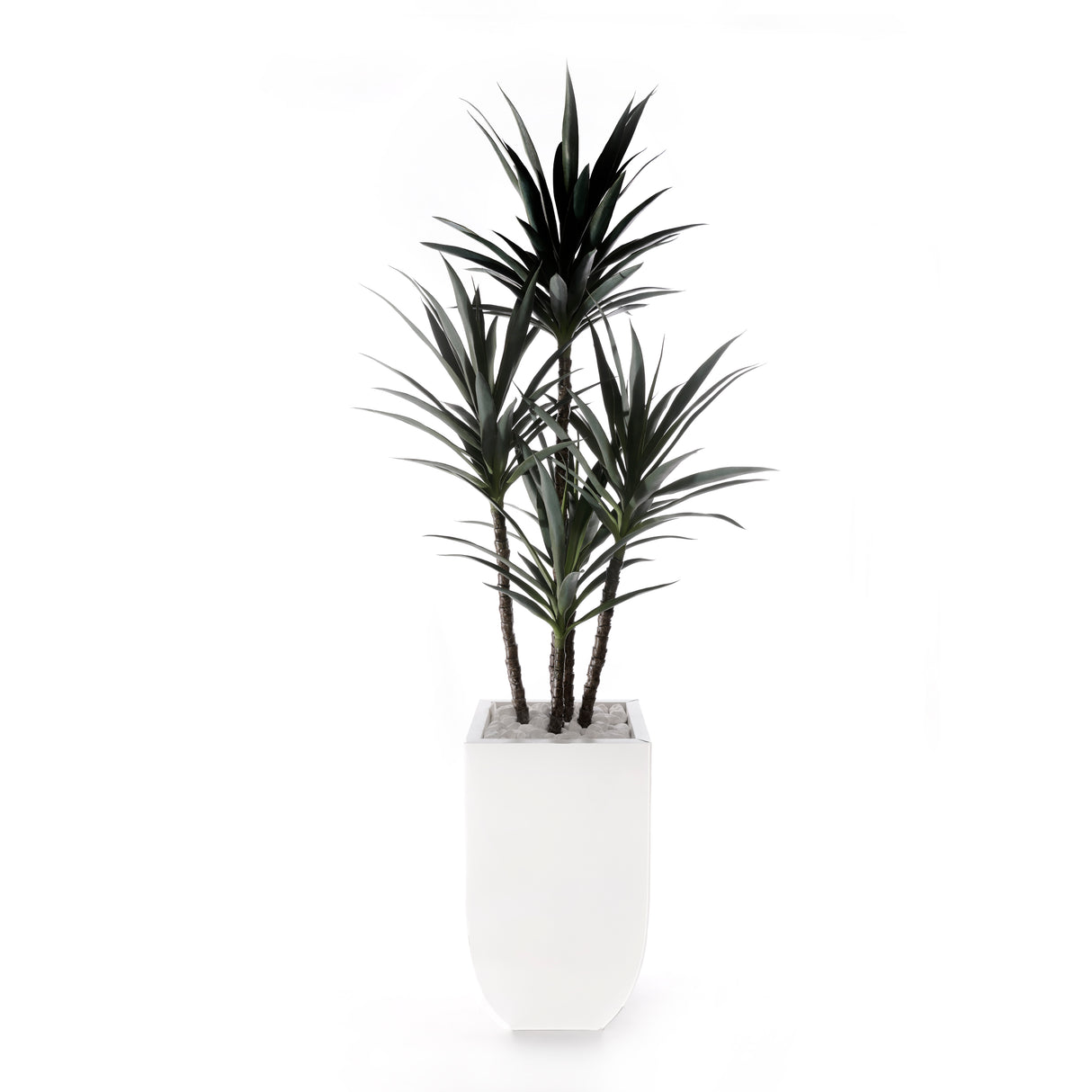 78"H Yucca Plant w/White Rocks in White Metal Planter #T-118