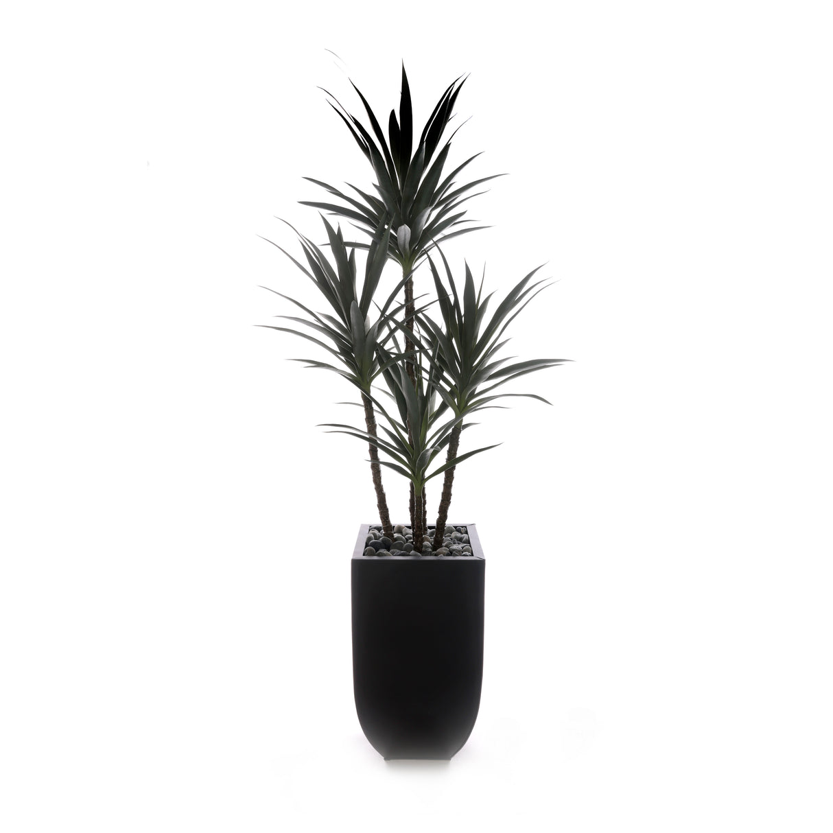 78"H Yucca Plant w/Blk Rocks in Black Metal Planter #T-119