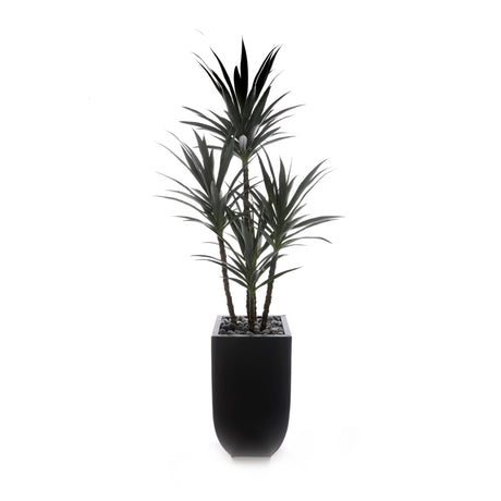 78"H Yucca Plant w/Blk Rocks in Black Metal Planter #T-119