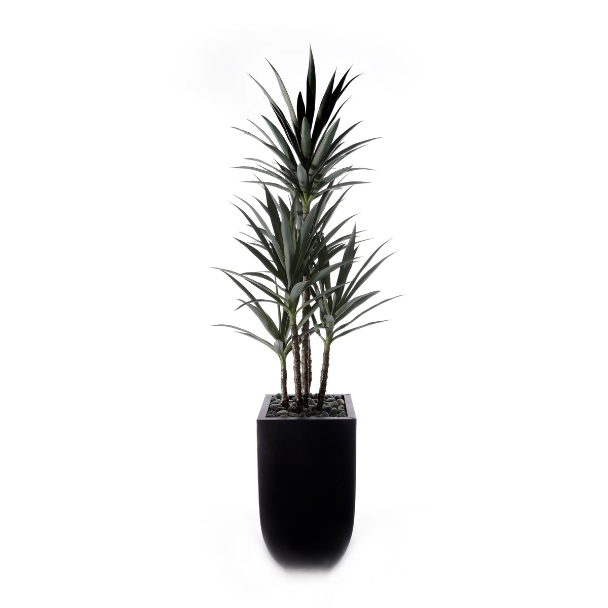 78"H Yucca Plant w/Blk Rocks in Black Metal Planter #T-119