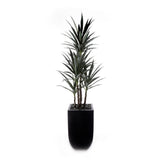 78"H Yucca Plant w/Blk Rocks in Black Metal Planter #T-119
