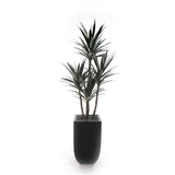 78"H Yucca Plant w/Blk Rocks in Black Metal Planter #T-119