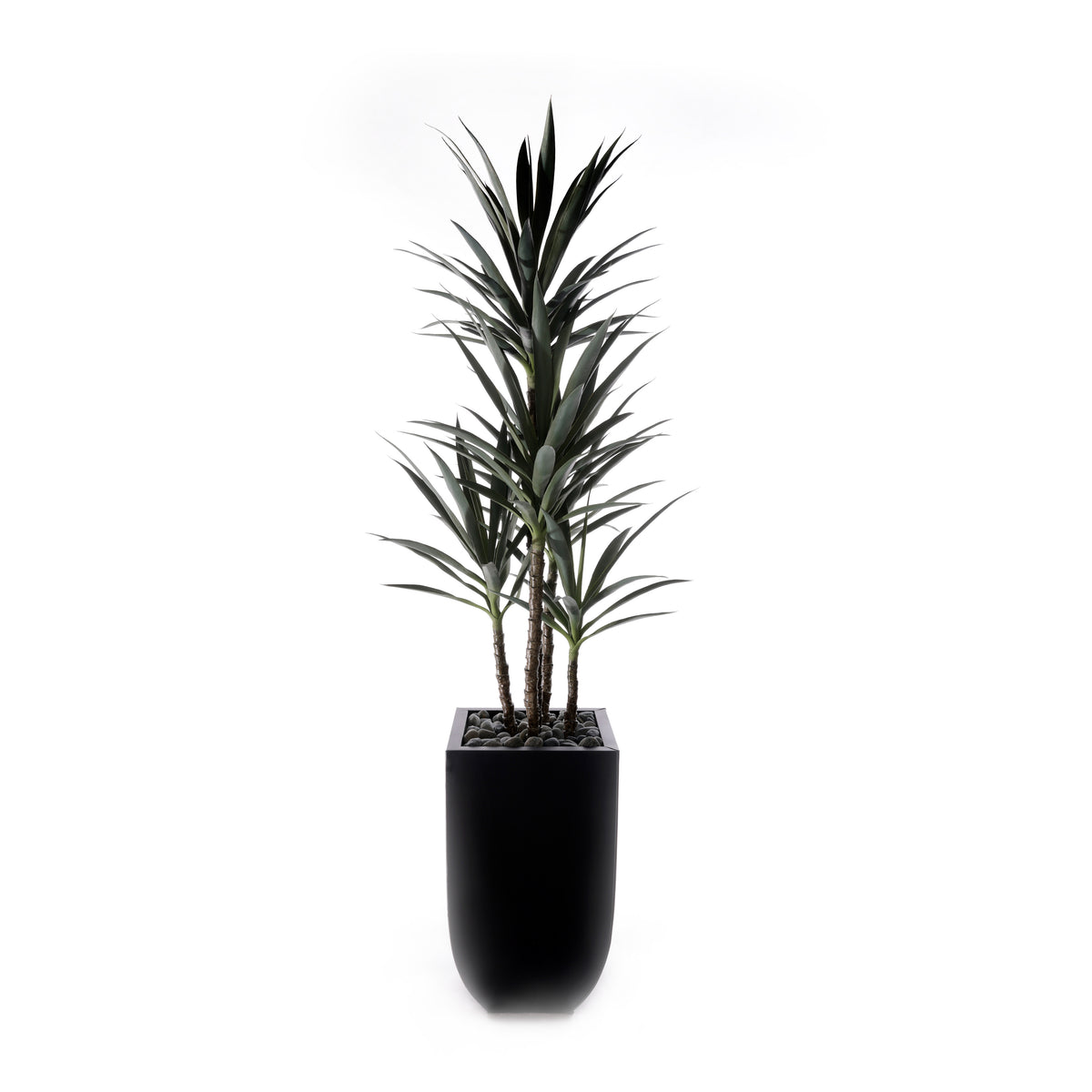 78"H Yucca Plant w/Blk Rocks in Black Metal Planter #T-119