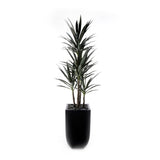 78"H Yucca Plant w/Blk Rocks in Black Metal Planter #T-119