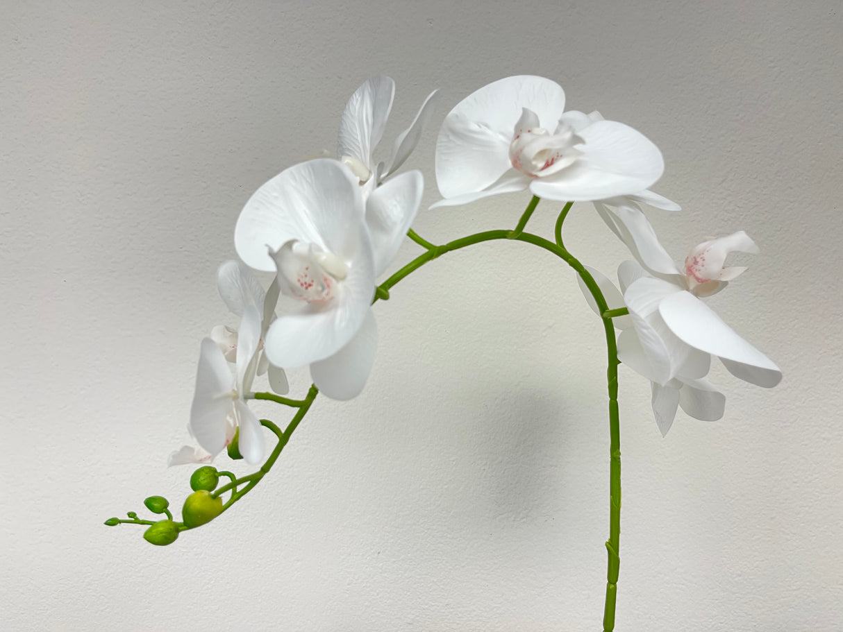 31” Real Touch Signal Stem Phalaenopsis Orchid Spray with 8 Flowers in White Color ( 6 Pcs per Box)  #ZFO420-WH