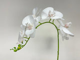 31” Real Touch Signal Stem Phalaenopsis Orchid Spray with 8 Flowers in White Color ( 6 Pcs per Box)  #ZFO420-WH