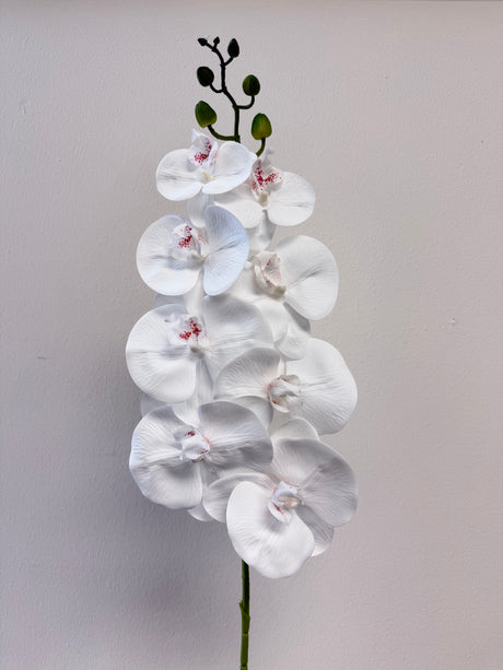 31” Real Touch Phalaenopsis Orchid Spray with 8 Flowers in White Color ( 6 Pcs per Box)  #ZFO422-WH