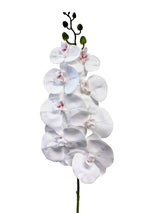 31” Real Touch Phalaenopsis Orchid Spray with 8 Flowers in White Color ( 6 Pcs per Box)  #ZFO422-WH