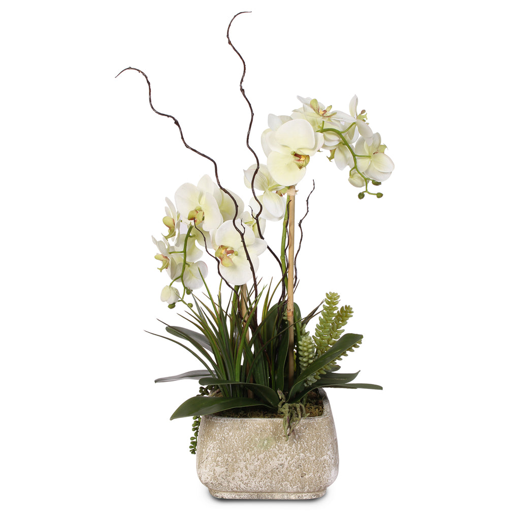Silk Flowers - Artificial Flower Arrangements & Plants at Jenny Silks