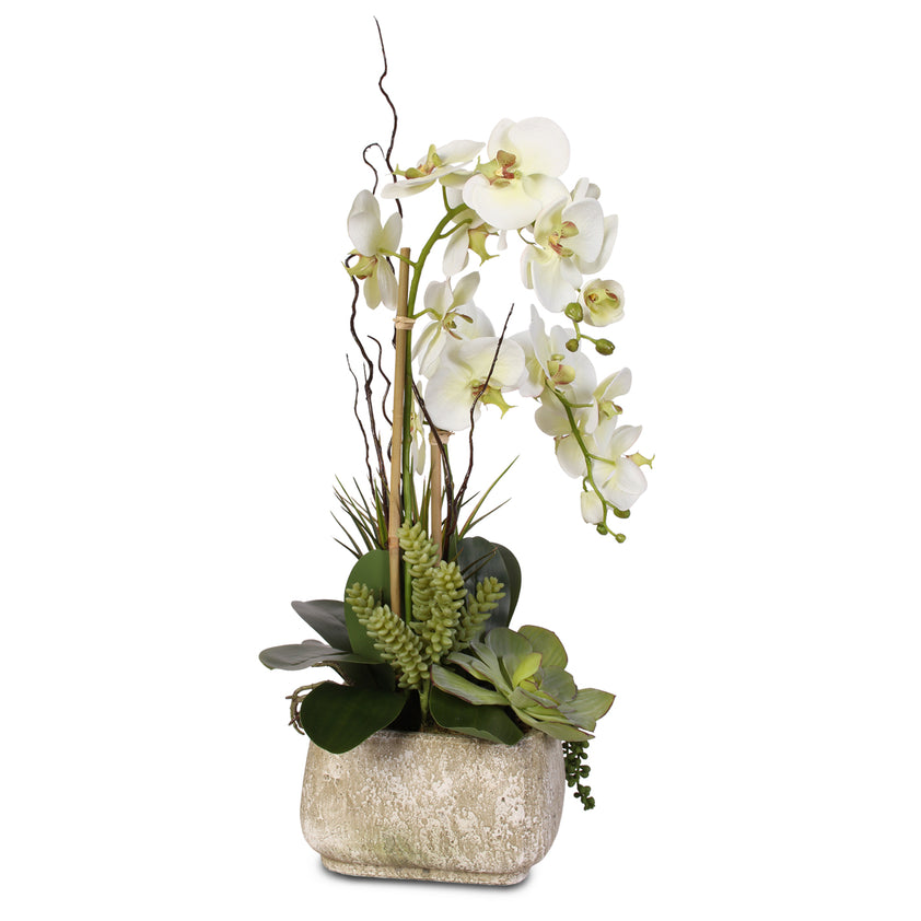 Real Touch Phalaenopsis Silk Orchid with Succulents in Stone Pot #25B ...