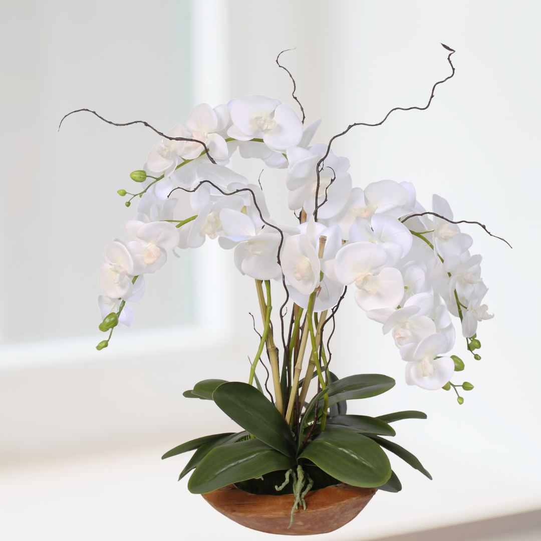 Buy online silk orchids