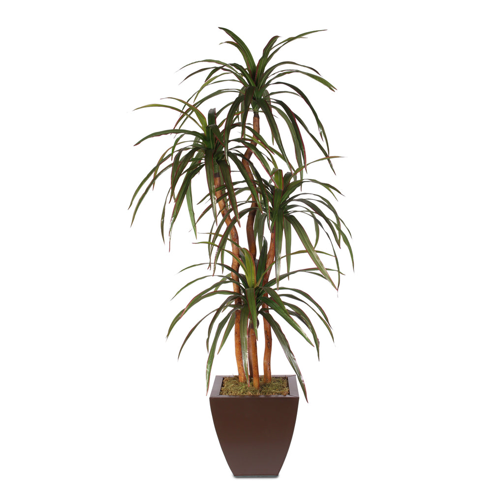 Schefflera Tree #LTS105-GR – Jenny Silks