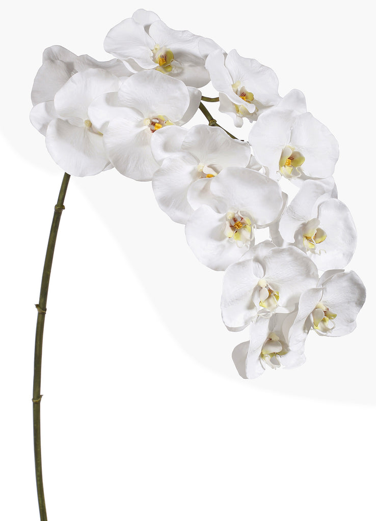 artificial flowers, real touch, orchid, phalaenopsis, silk flowers