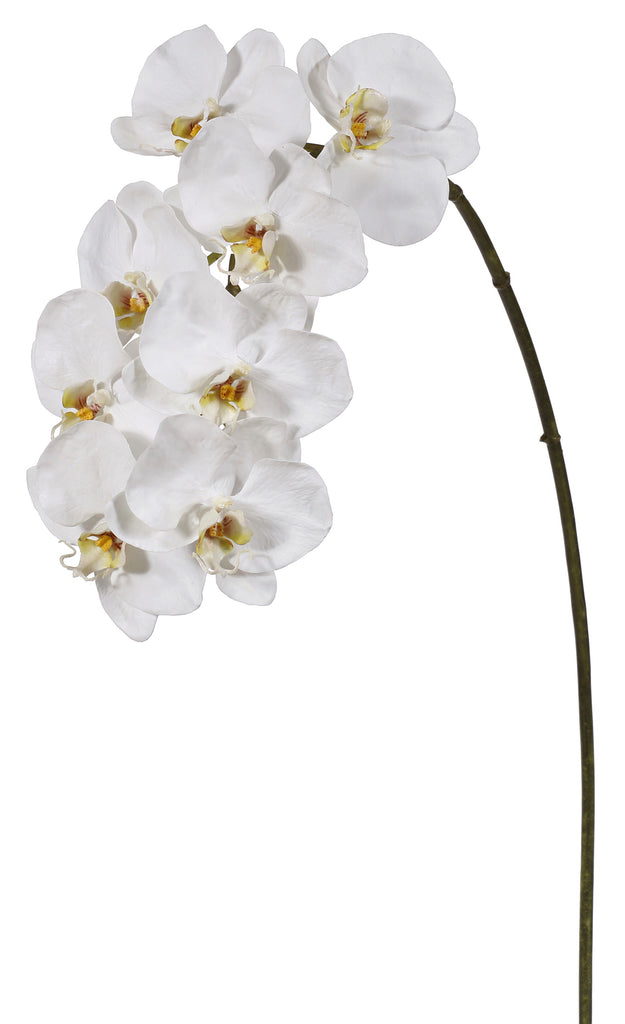 phaleanopsis orchid, white, artificial flowers, silk flowers, home decor, modern, contemporary