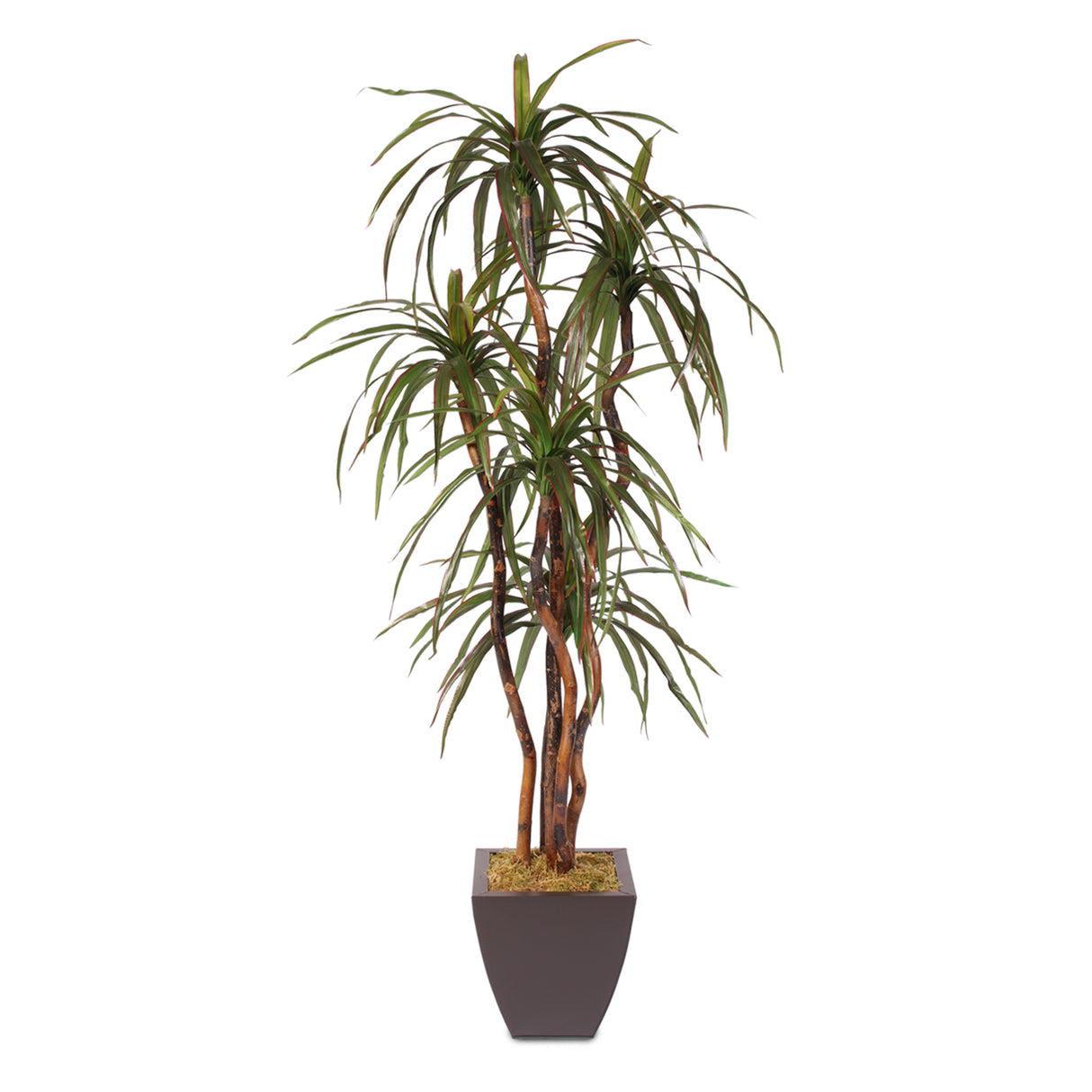natural wood trunk, silk yucca tree, artificial tree, artificial flowers, silk flowers, home decor, modern, contemporary