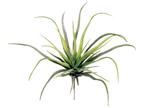 succulent, artificial plant, silk flowers, air plant, Tillandsias, Bromeliaceae
