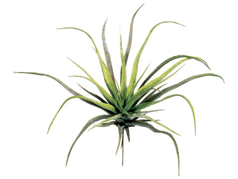 succulent, artificial plant, silk flowers, air plant, Tillandsias, Bromeliaceae