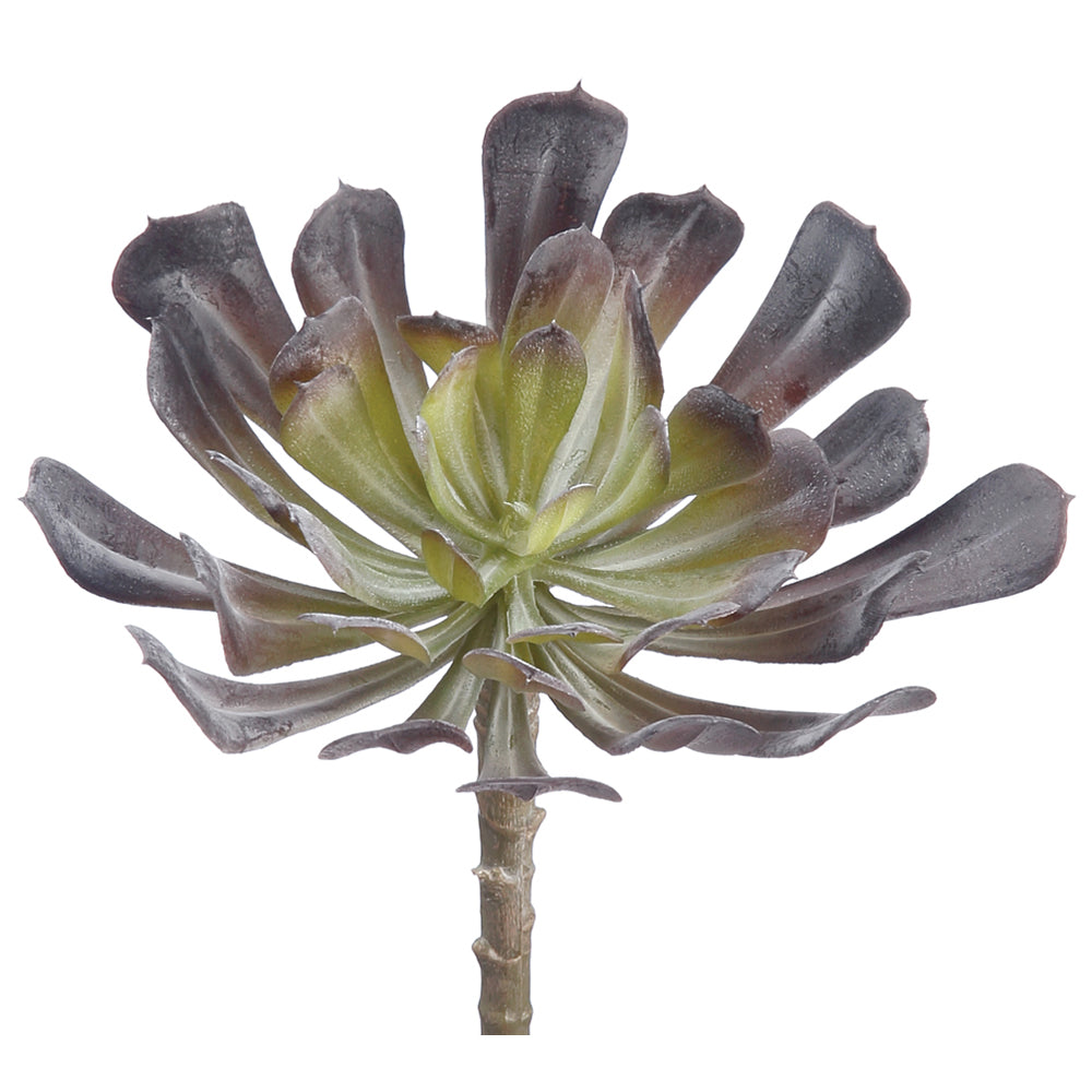 aeonium, succulent, artificial flowers, silk flowers, home decor, modern, contemporary