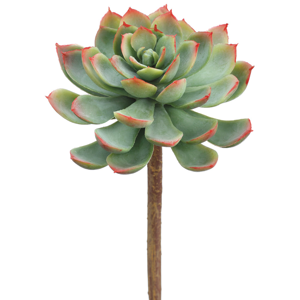 echeveria, rosette, succulent, artificial flowers, silk flowers, home decor, modern, contemporary