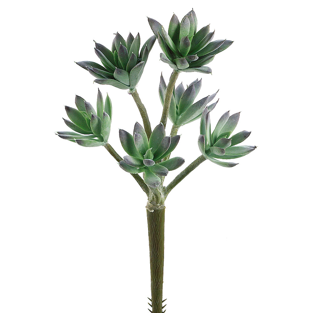 succulent, artificial plant, silk flowers, sedum, stonecrop, Crassulaceae family