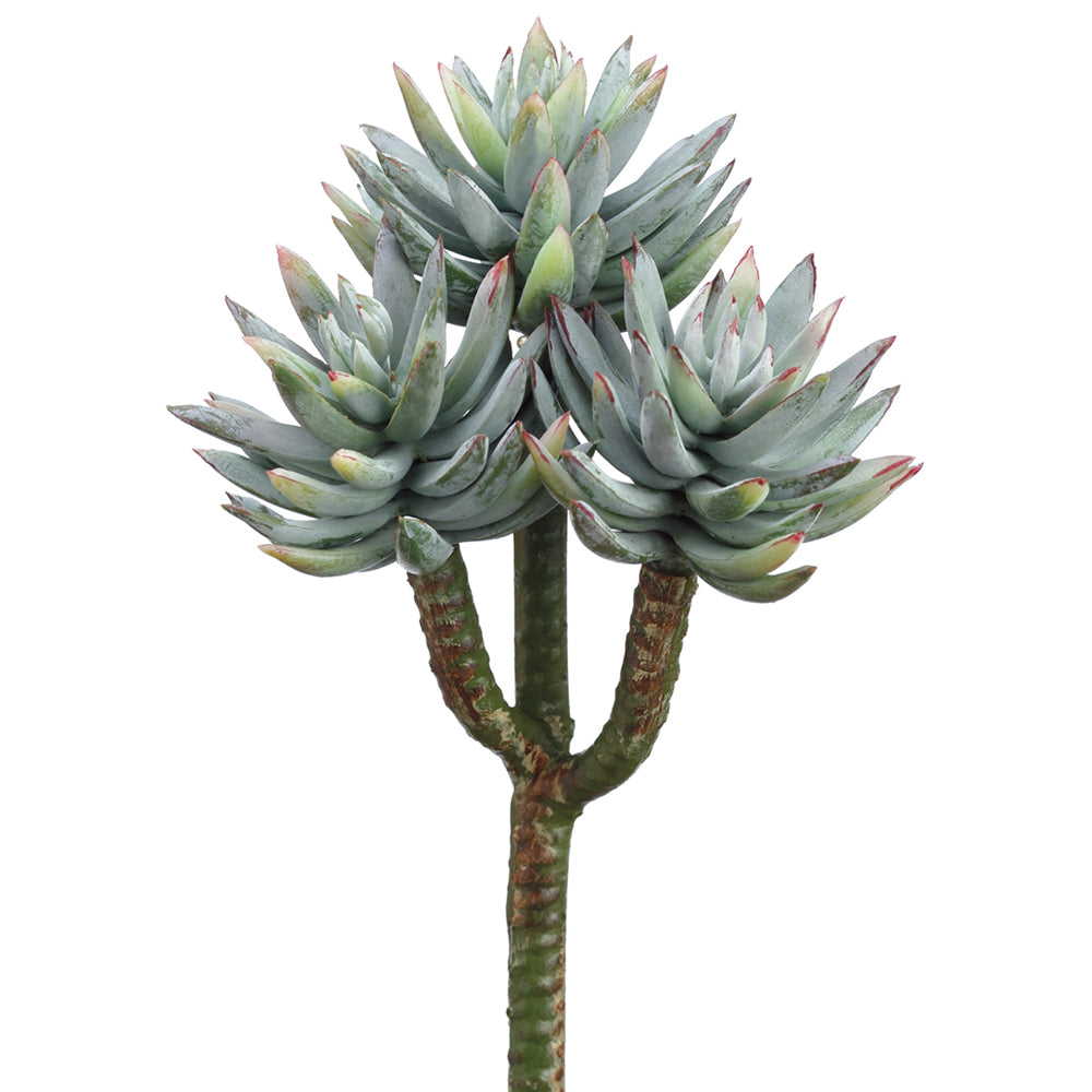 agave, succulent, artificial flowers, artificial succulent, home decor, silk flowers