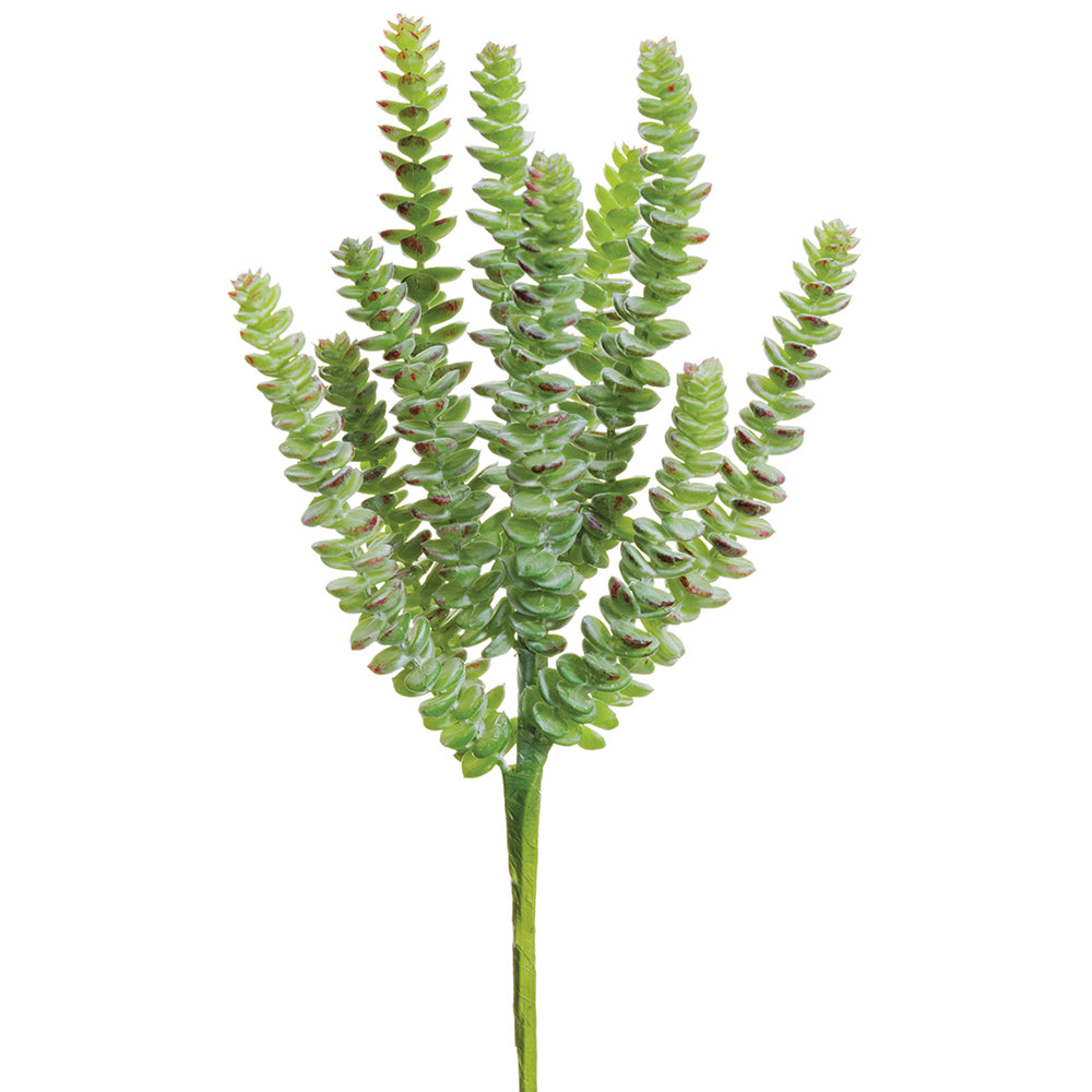 Evergreen succulent, artificial plant, silk flowers, Donkey's tail, burro's tail