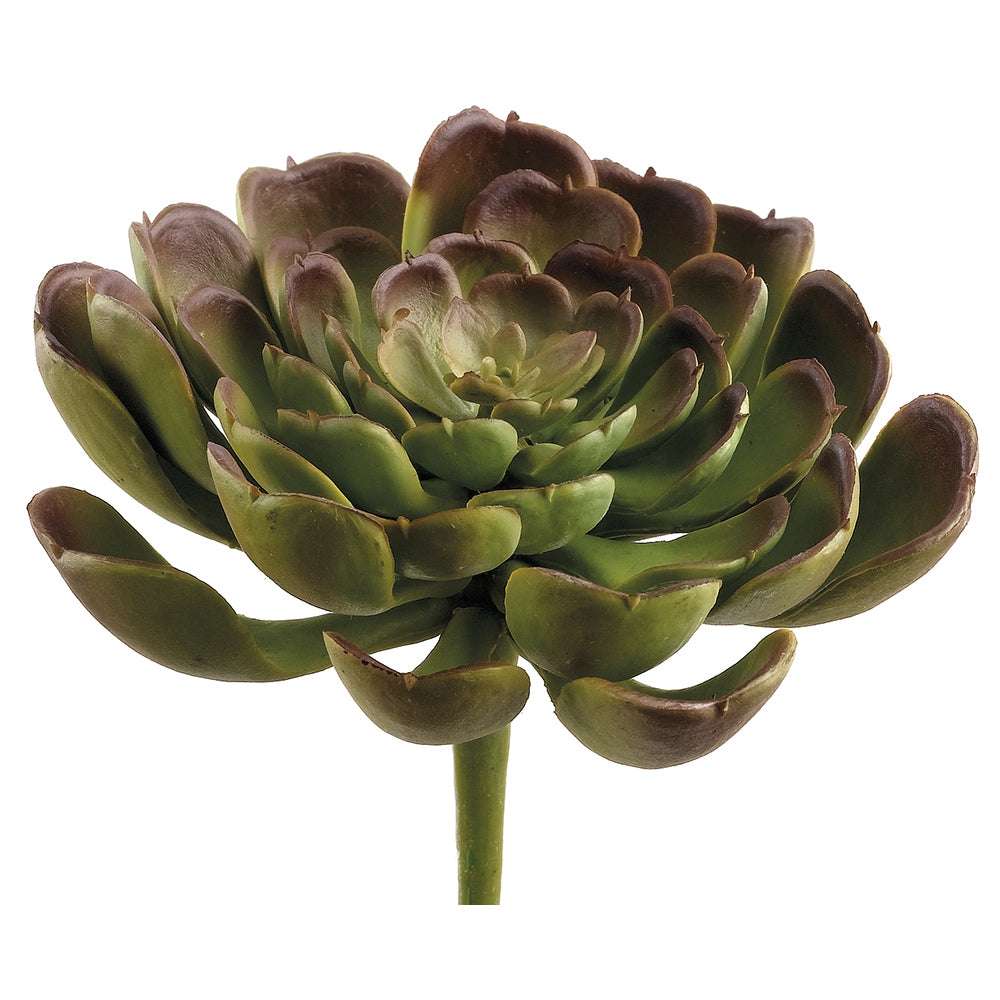 Echeveria, rosette, succulent, artificial flowers, silk flowers, home decor, modern, contemporary