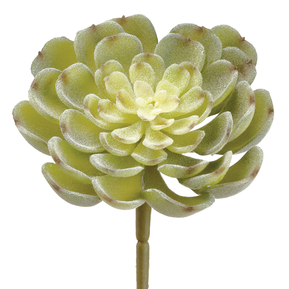 Echeveria, rosette, succulent, artificial flowers, silk flowers, home decor, modern, contemporary