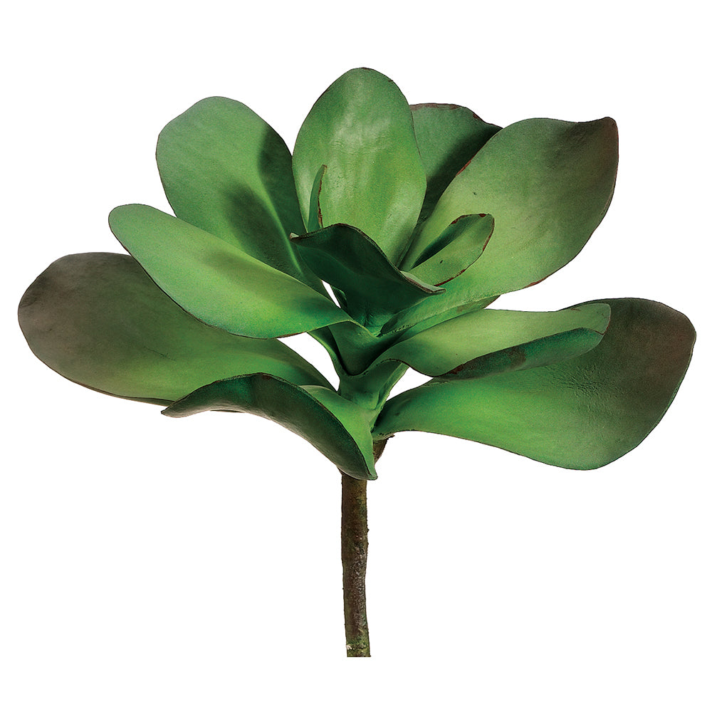 succulent, artificial plant, silk flowers, stonecrop, Crassulaceae family, Kalanchoë, tropical
