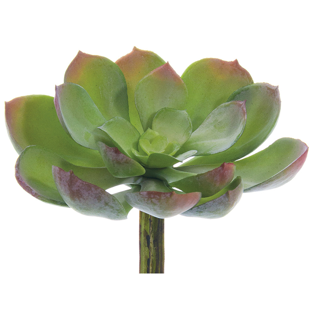 Echeveria, rosette, succulent, artificial flowers, silk flowers, home decor, modern, contemporary