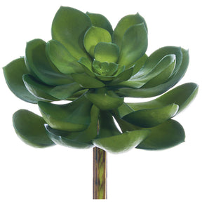 Echeveria, rosette, succulent, artificial flowers, silk flowers, home decor, modern, contemporary